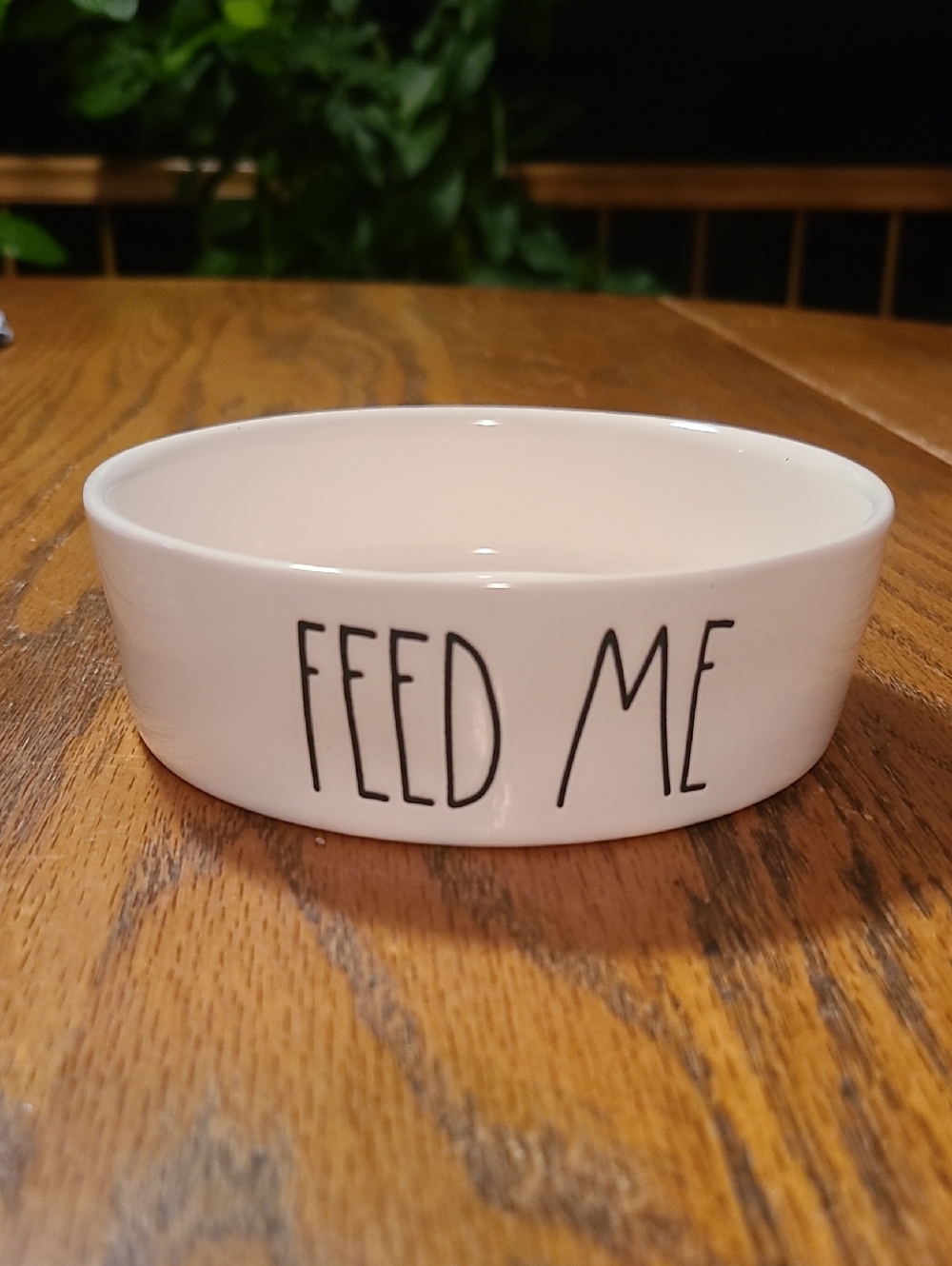 White Ceramic 'FEED ME' Pet Bowl